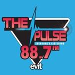 88.7 FM The Pulse - KPNG | Station Logo