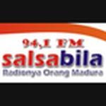 94.1 Salsabila FM | Station Logo