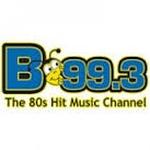 B-99.3 - WSNN | Station Logo