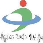 AGUILAS RADIO 91.4 FM | Station Logo