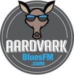 Aardvark Blues FM | Station Logo