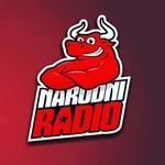 Narodni radio Sarajevo | Station Logo