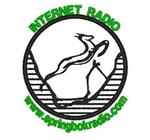 Springbok Radio Preservation Society of South Africa | Station Logo