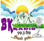 BK Radio 99.3 FM | Station Logo