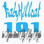 Babyhillcat 101 | Station Logo