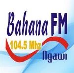 Bahana FM Ngawi | Station Logo