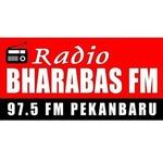 Bharabas 97.5 FM | Station Logo