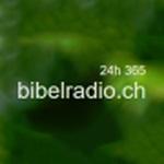 Bibleradio - NT & Psalmen 24h | Station Logo