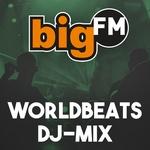 bigFM - World Beats | Station Logo