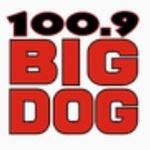 Big Dog 100.9 - CKTO-FM | Station Logo