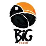 Big Radio Balade | Station Logo