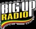 BigUpRadio - Roots