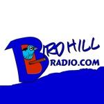 Birdhill Radio | Station Logo