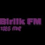 Birlik FM Radyo | Station Logo