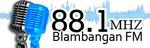 Radio Blambangan FM | Station Logo