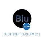 Blu FM - XHOI | Station Logo