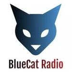 BlueCat Radio | Station Logo