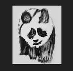 Blue Panda Radio | Station Logo