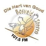 Bosveld Stereo | Station Logo