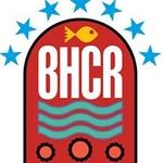 Brighton and Hove Community Radio | Station Logo