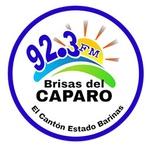 Brisas del Caparo | Station Logo