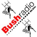 Bush Radio | Station Logo