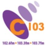 C103 (North) | Station Logo