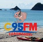 C95 FM | Station Logo