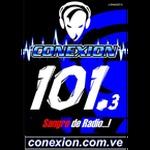 Conexion FM | Station Logo