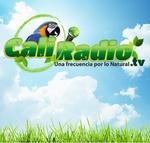 Radio Station logo
