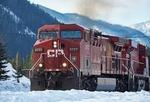 CN, CP, VIA Rail and OSR | Station Logo