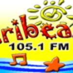 Caribean FM 105.1 | Station Logo