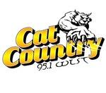 Cat Country - WLST | Station Logo