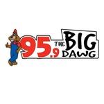 95.9 The Big Dawg - WICL | Station Logo