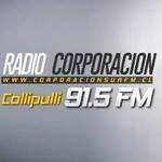 Corporacion Sur | Station Logo