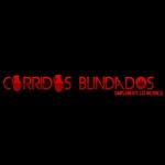 Corridos Blindados | Station Logo