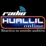 Costavision - Radio Huallil | Station Logo