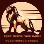 DEEP HOUSE NICE RADIO | Station Logo