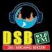 DSB FM 93.8 Deliserdang | Station Logo