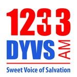 1233 DYVS - DYVS | Station Logo