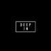 DeepIN
