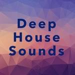 Deep House Sounds | Station Logo