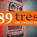 Del Molino FM | Station Logo