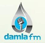 Dalma FM | Station Logo