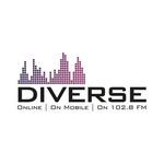 Diverse FM | Station Logo