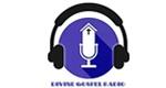 Divine Gospel Radio | Station Logo