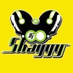 Dj Shaggy Venezuela | Station Logo