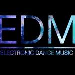 EDMhau5 | Station Logo