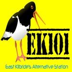 EK101 Alternative Radio | Station Logo