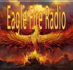 Eagle Fire 9000 | Station Logo